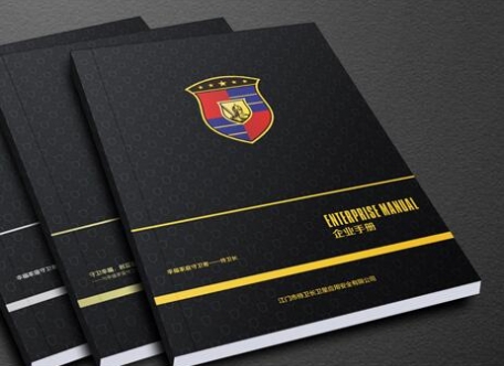 侍衛(wèi)長導航